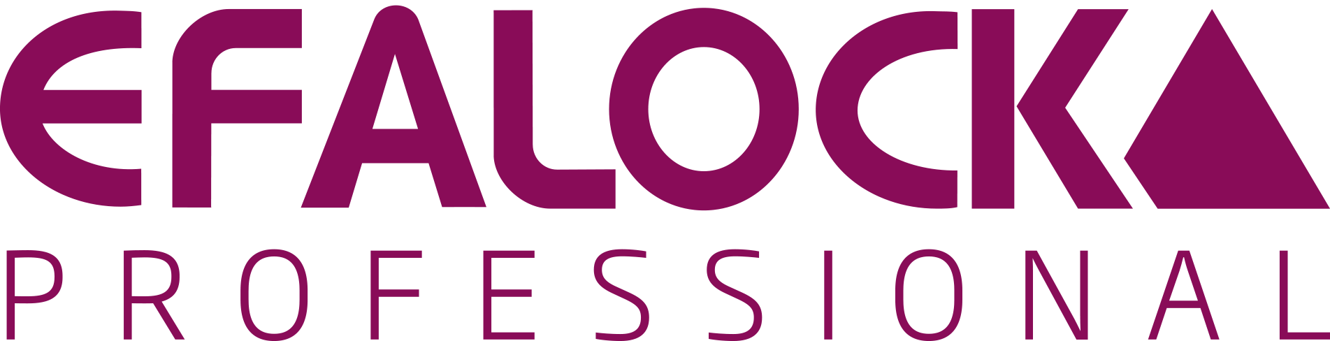 EFALOCK Professional Logo maske berlin